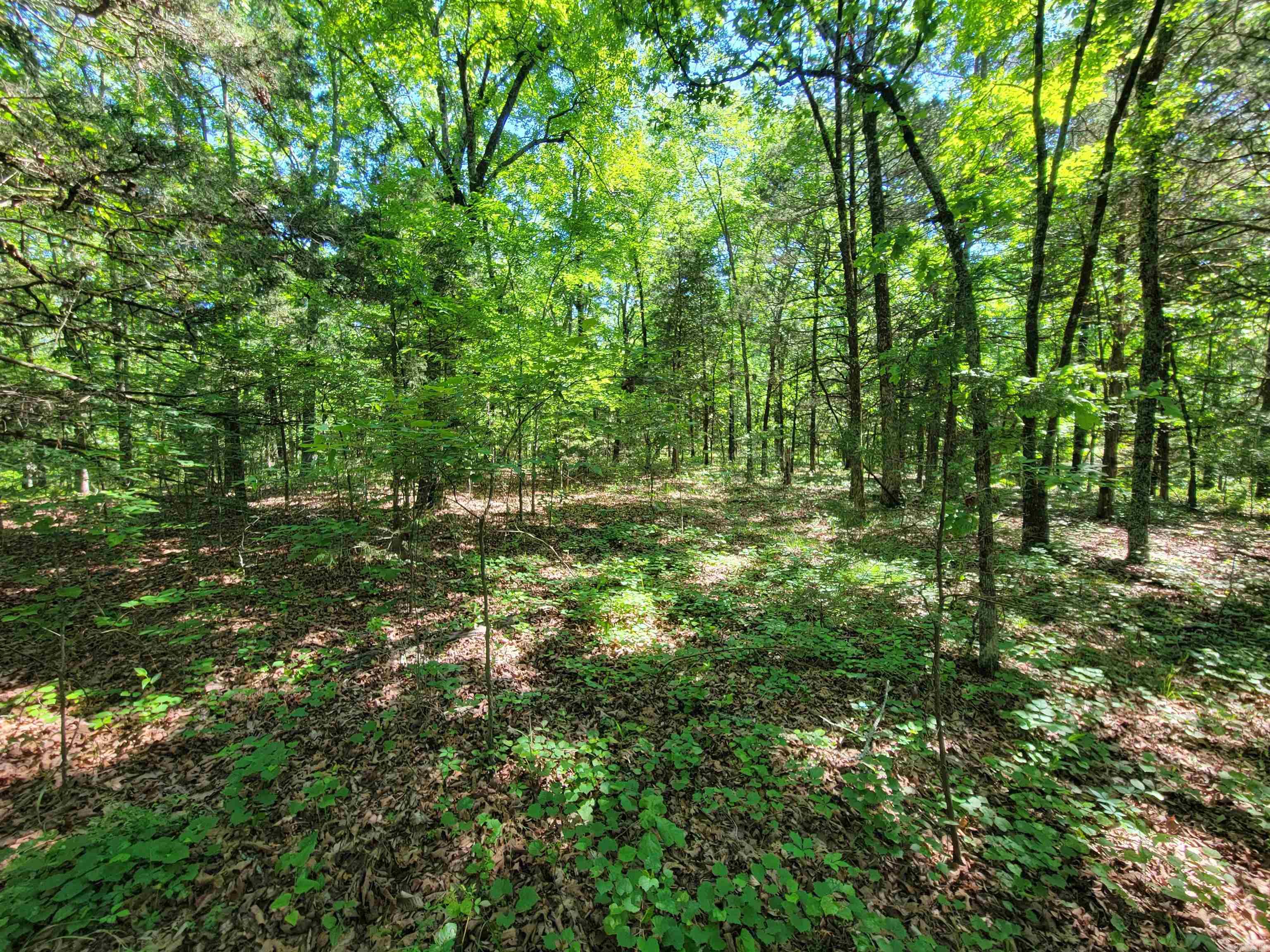 00 Mcnew Cemetery Road Property Photo 9