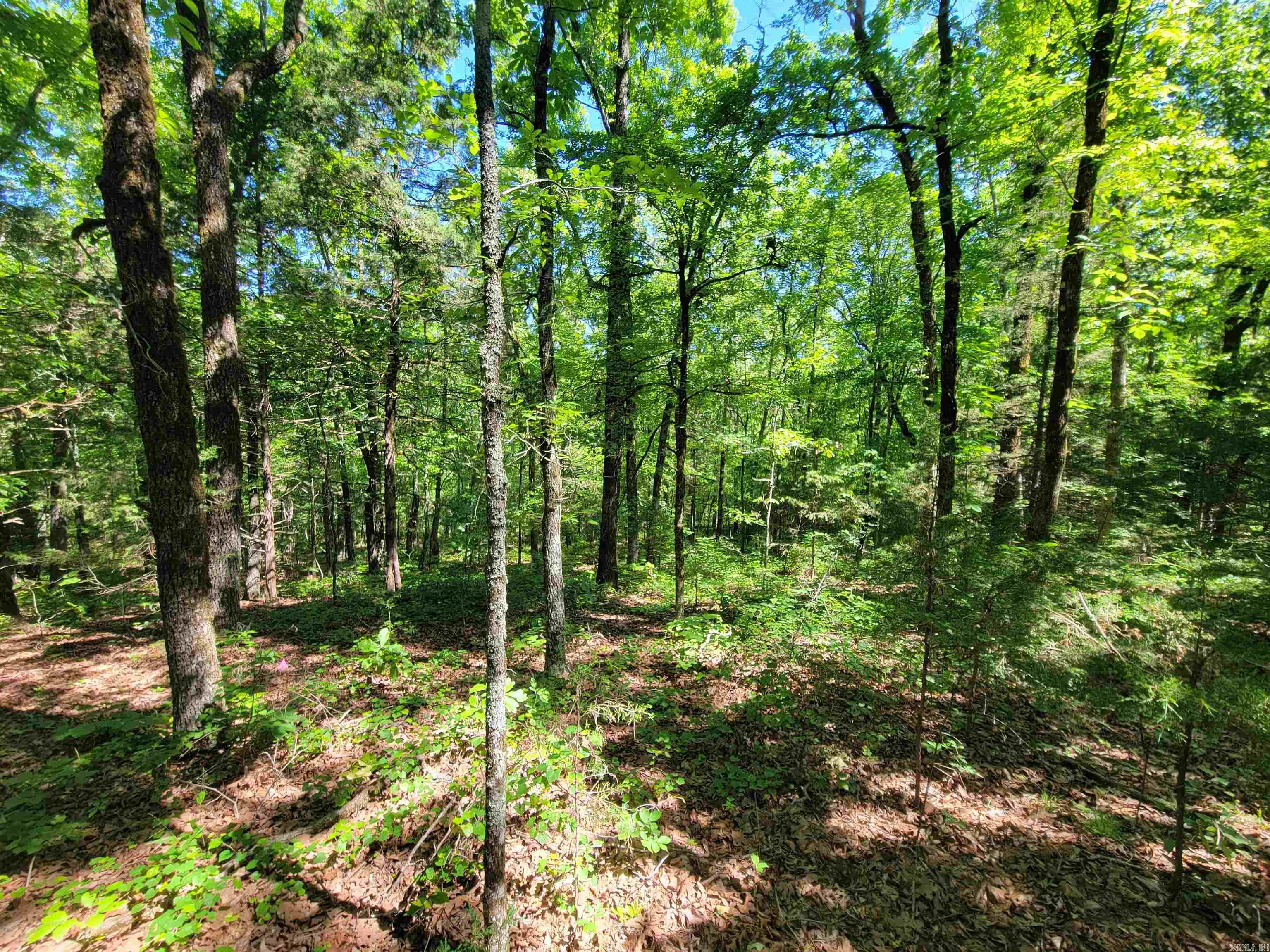00 Mcnew Cemetery Road Property Photo 10