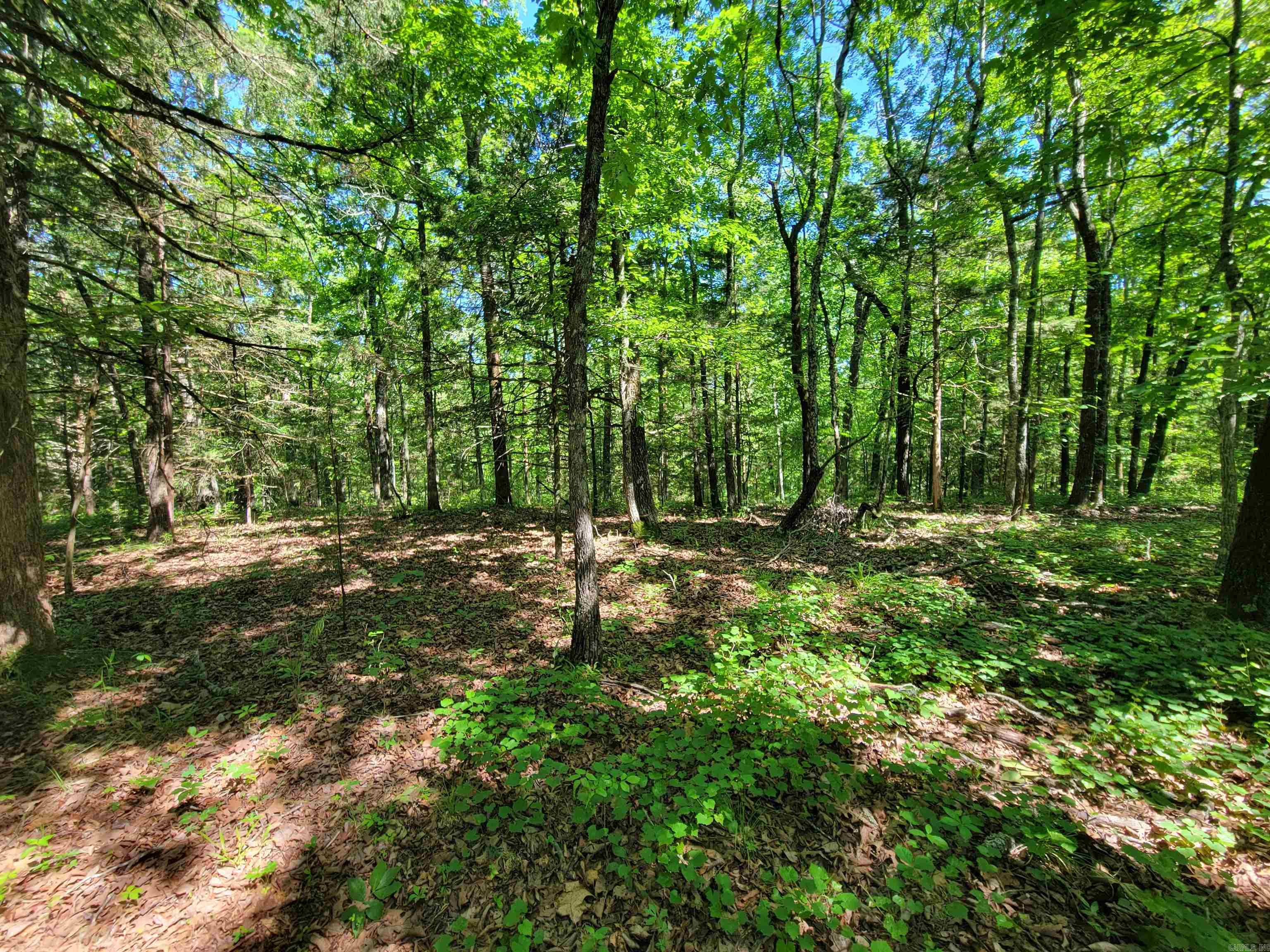 00 Mcnew Cemetery Road Property Photo 11