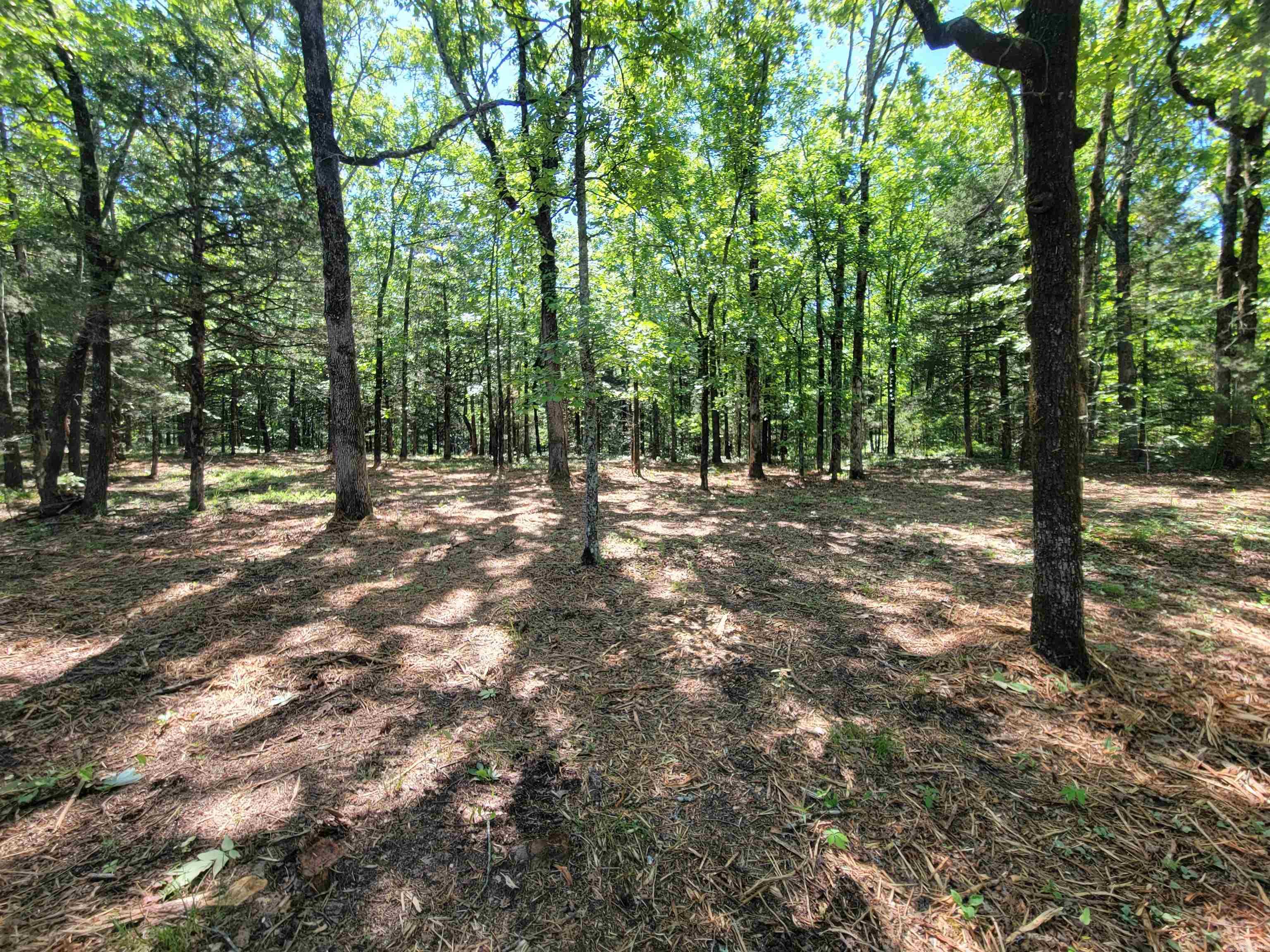 00 Mcnew Cemetery Road Property Photo 12