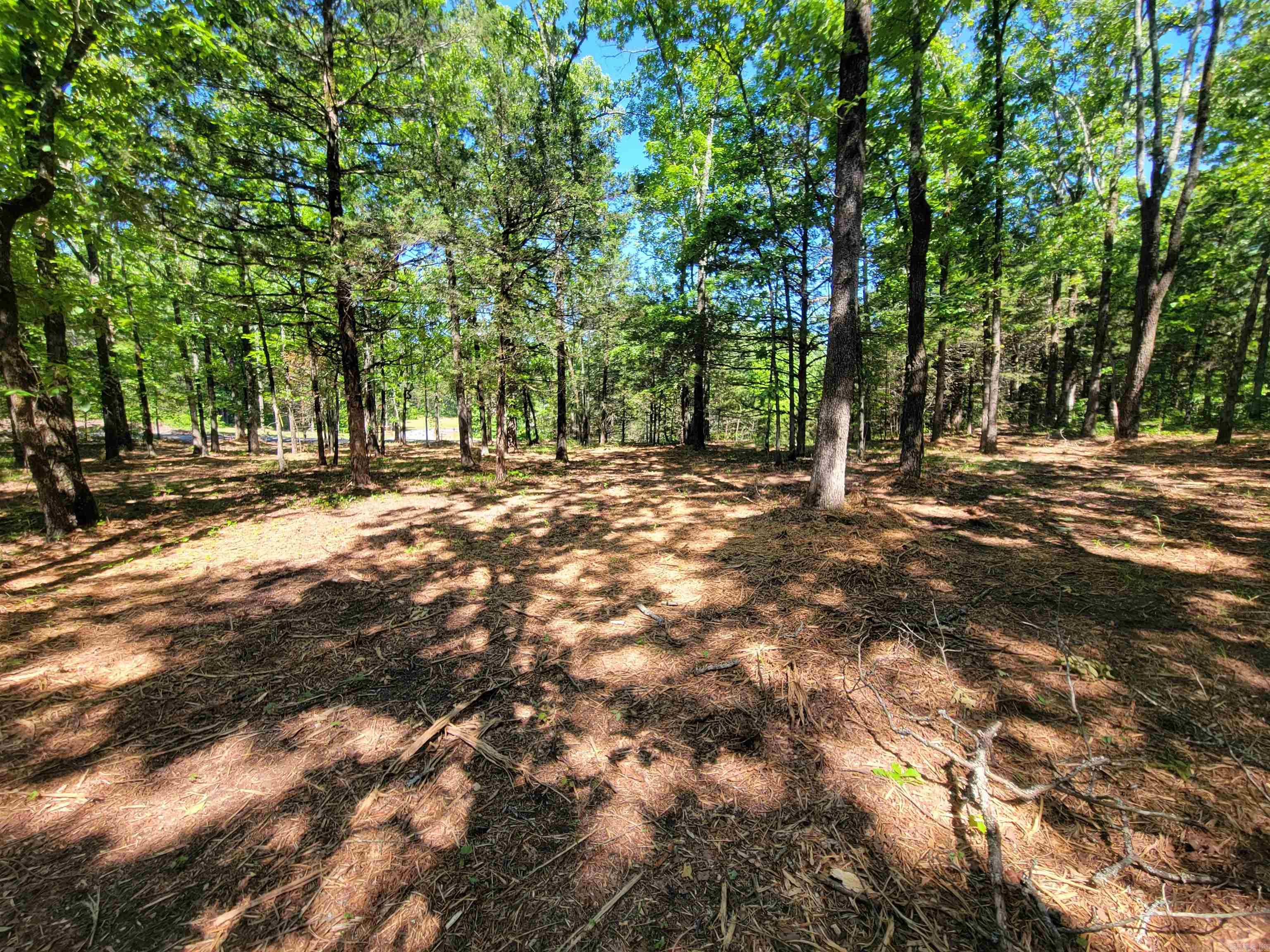 00 Mcnew Cemetery Road Property Photo 13
