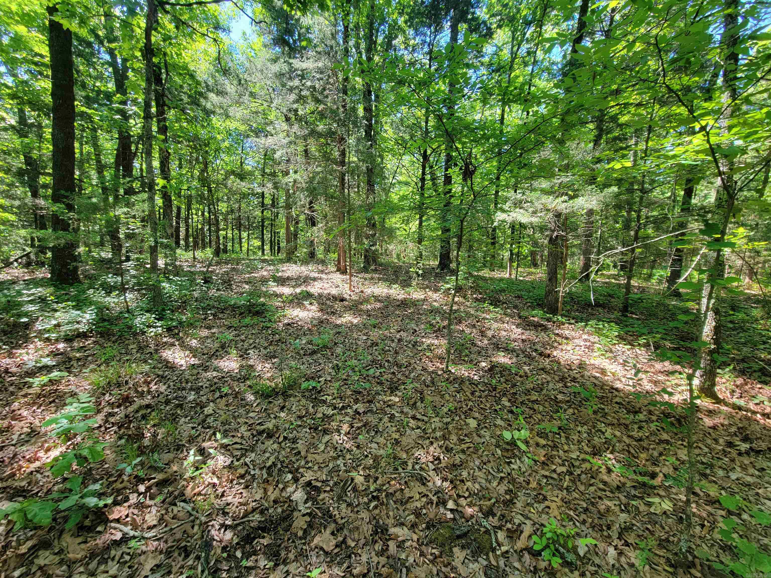 00 Mcnew Cemetery Road Property Photo 14