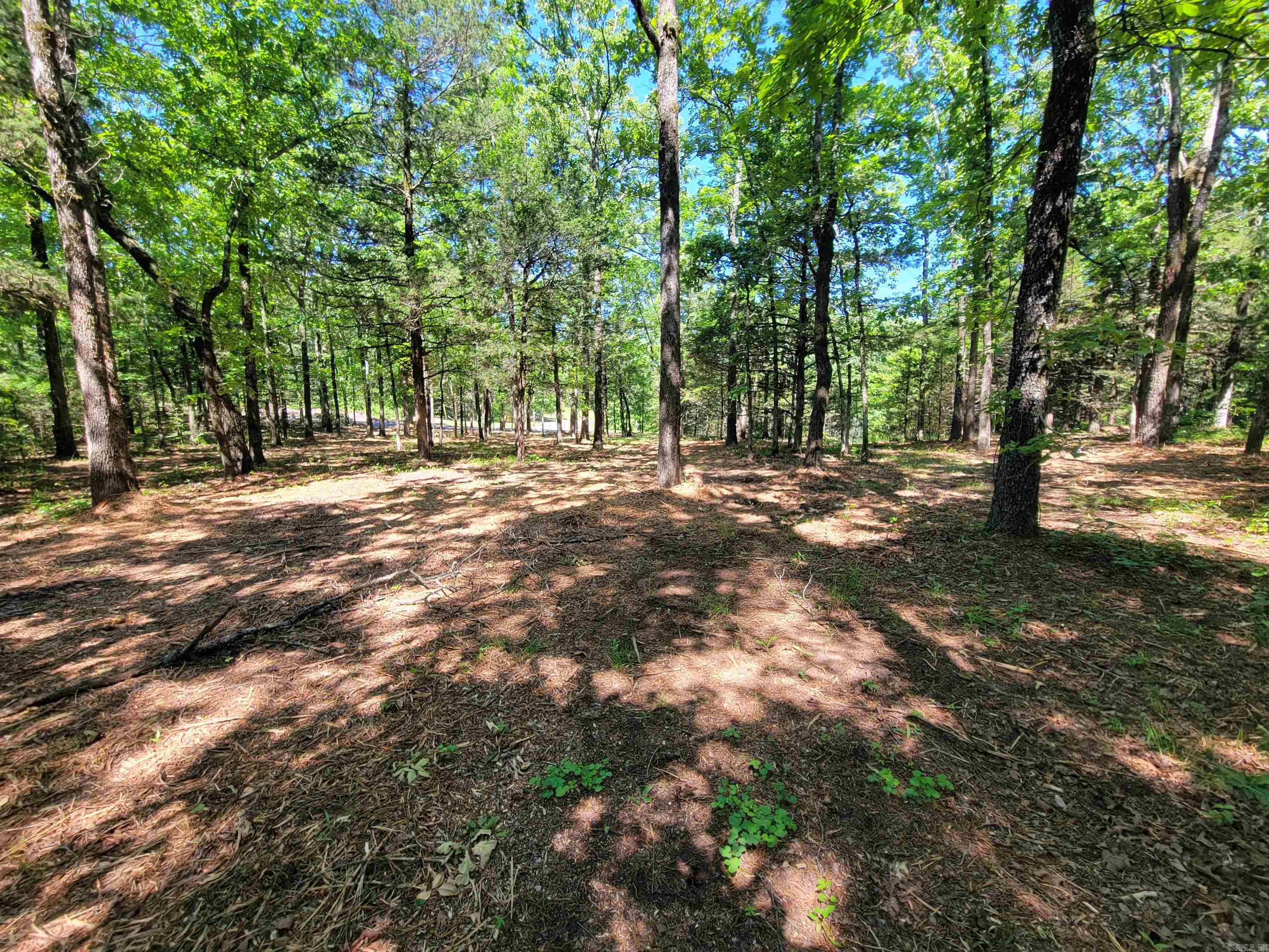 00 Mcnew Cemetery Road Property Photo 15