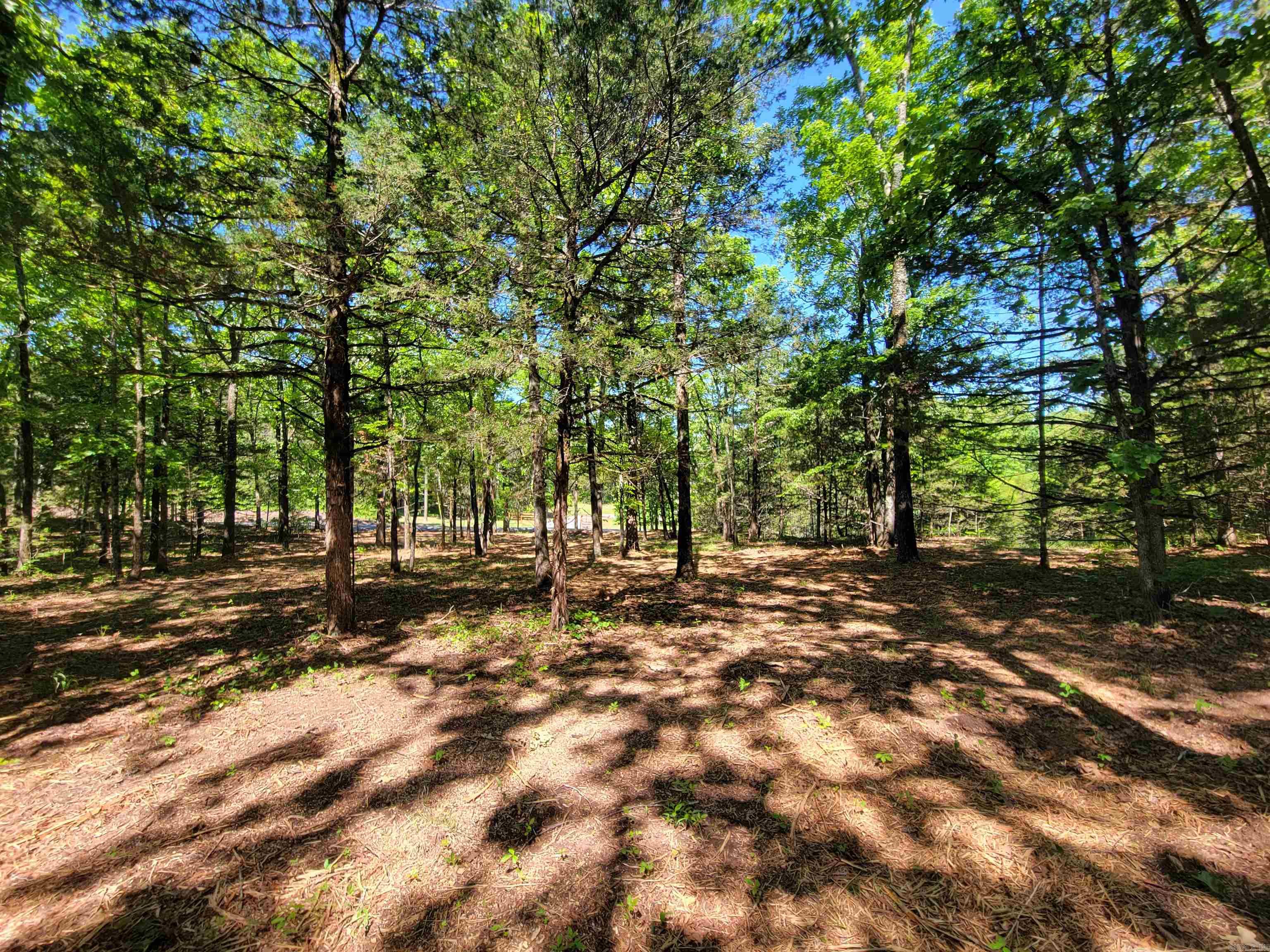 00 Mcnew Cemetery Road Property Photo 16