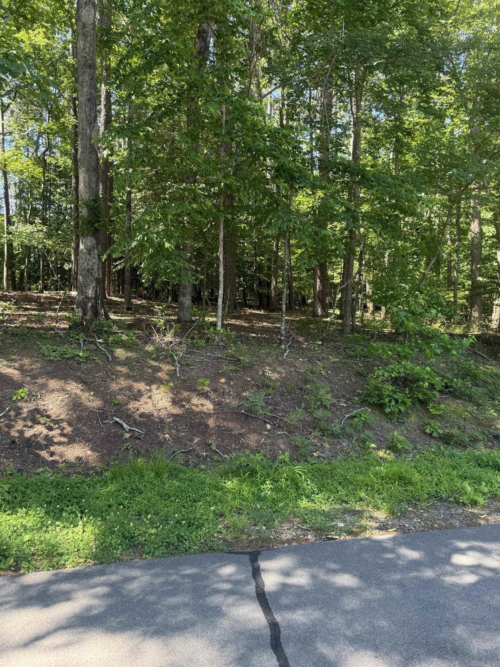 89 Arjona Way Property Photo 4