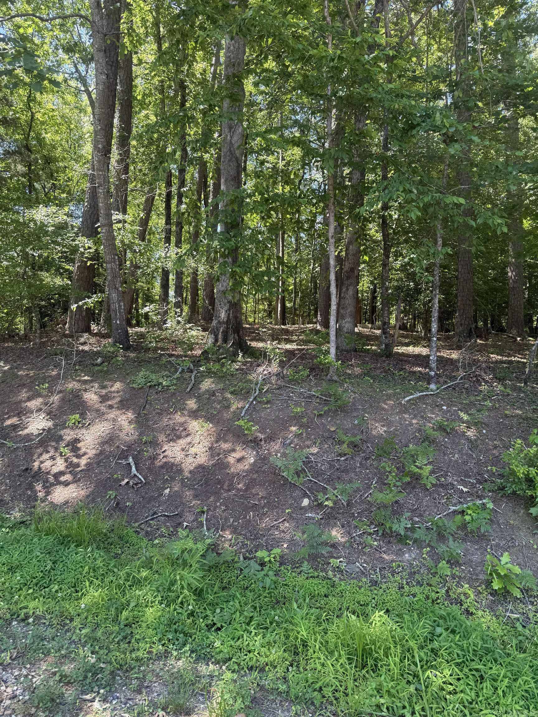89 Arjona Way Property Photo 5