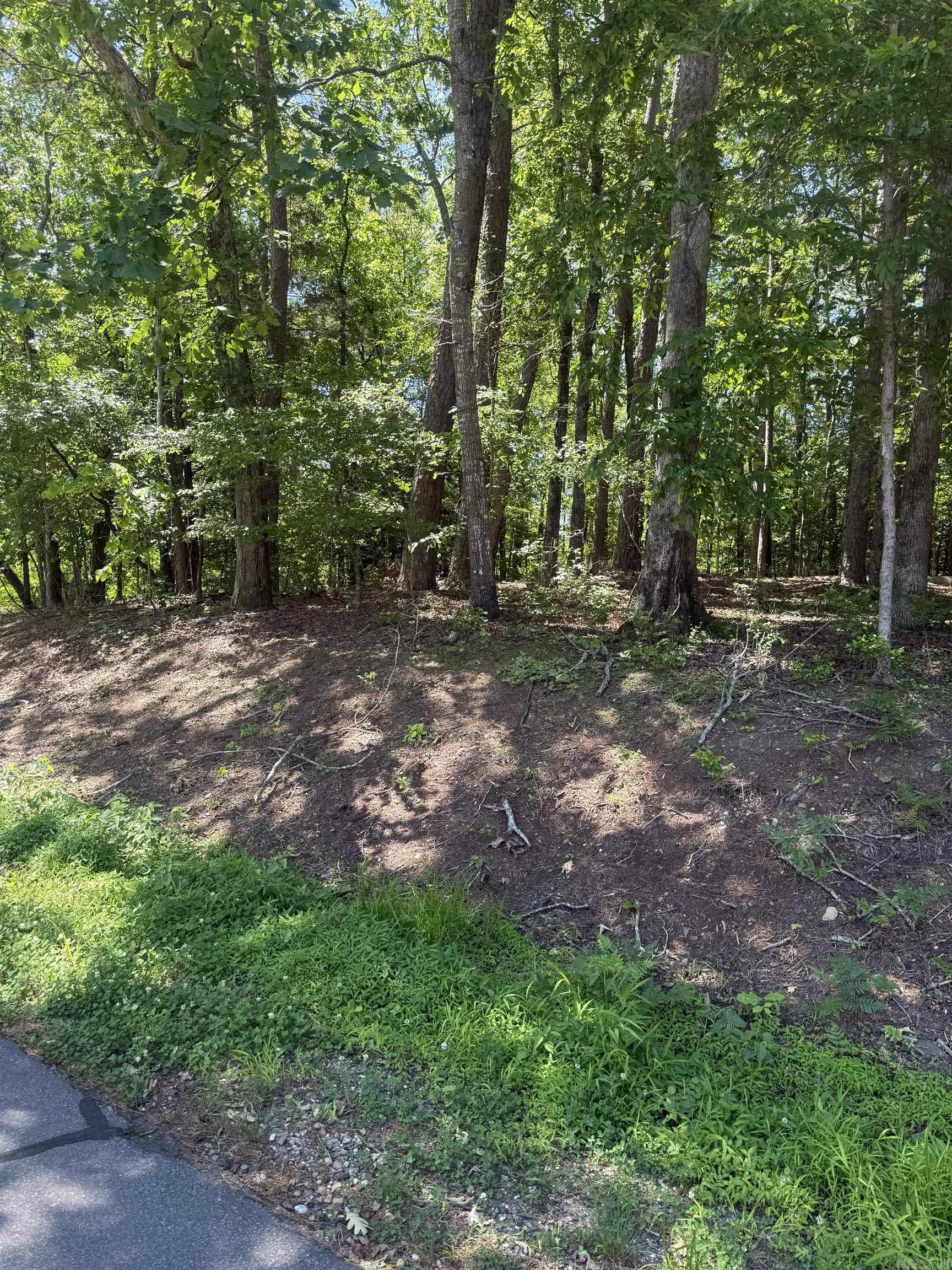 89 Arjona Way Property Photo 6