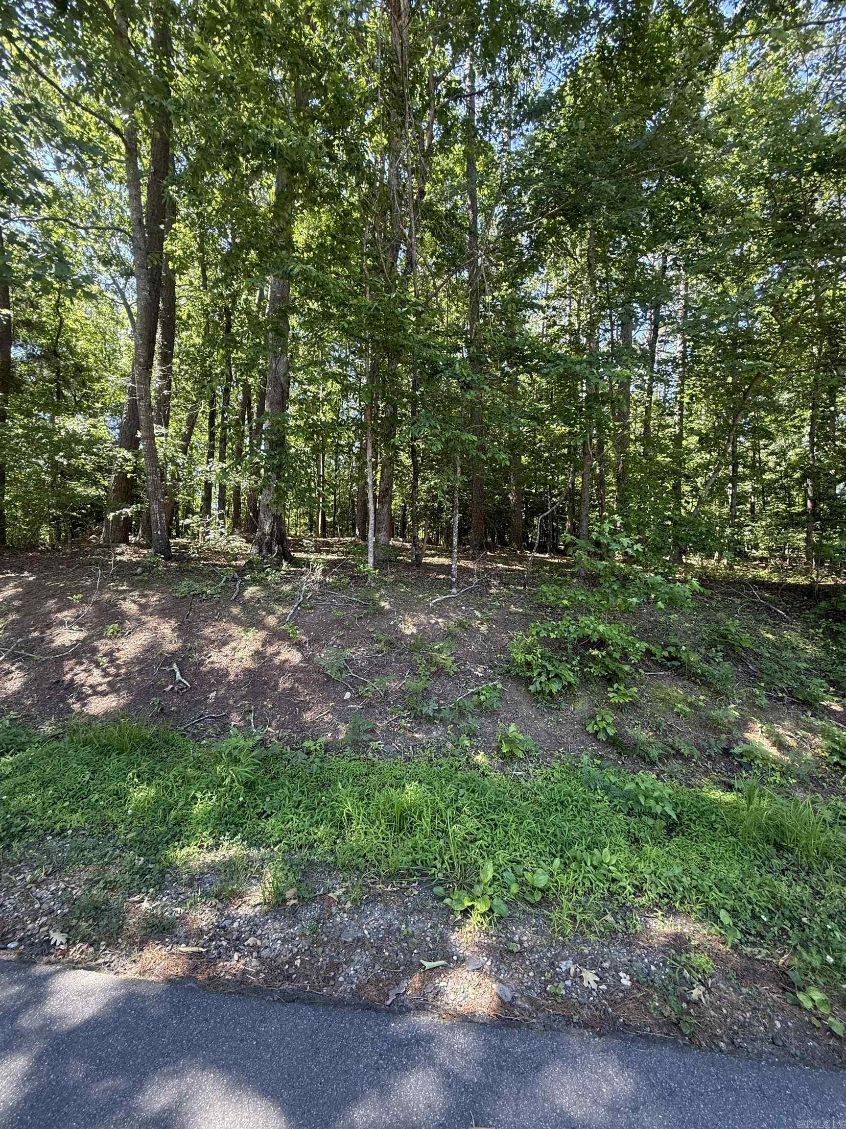 89 Arjona Way Property Photo 7
