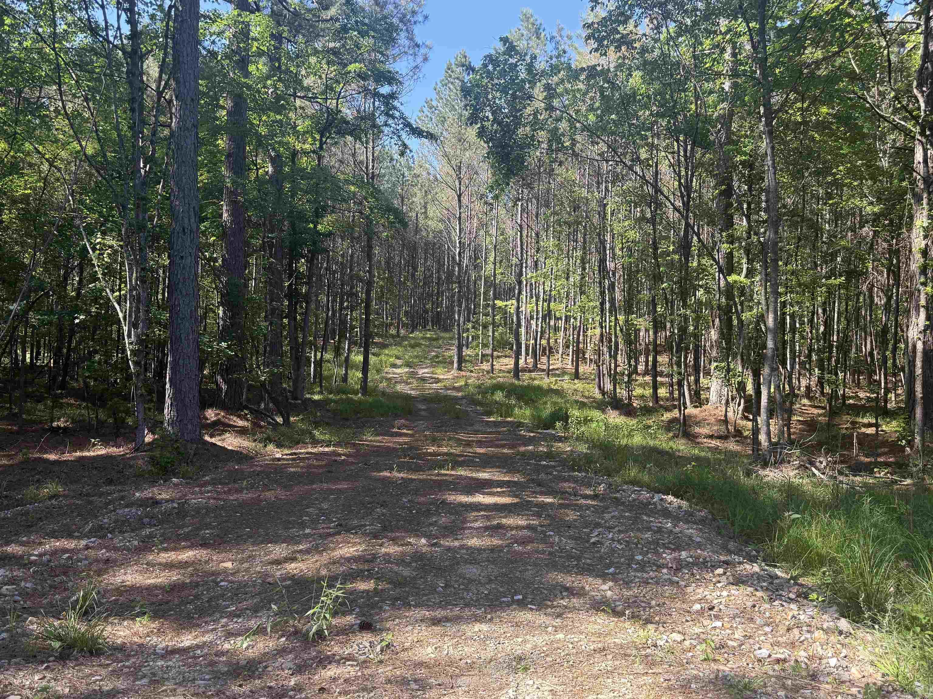 571 Stihl Property Photo 4