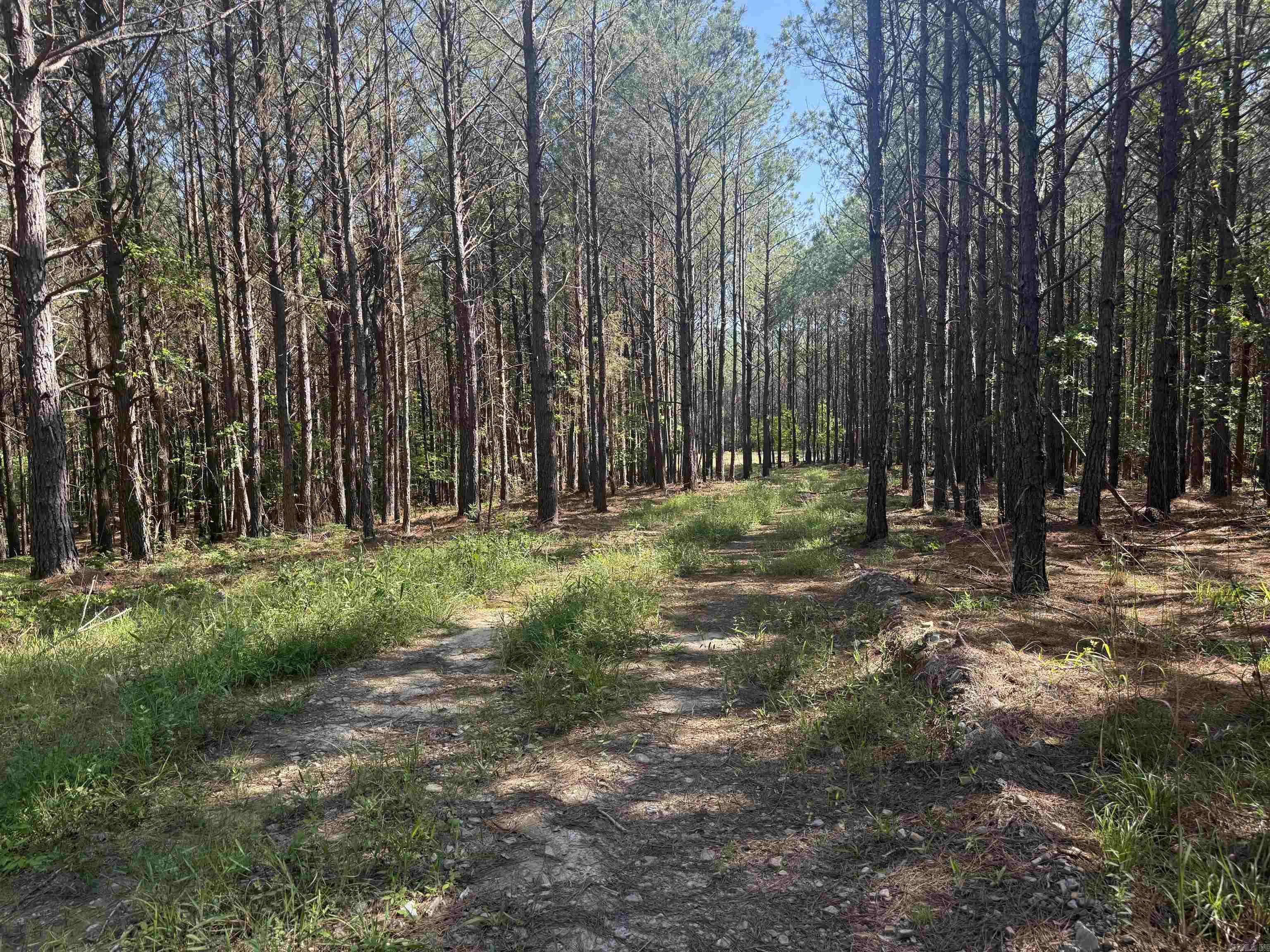 571 Stihl Property Photo 7