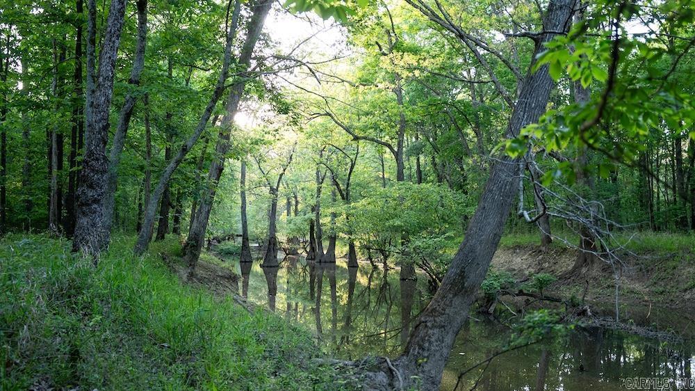 Cypress Lake Road