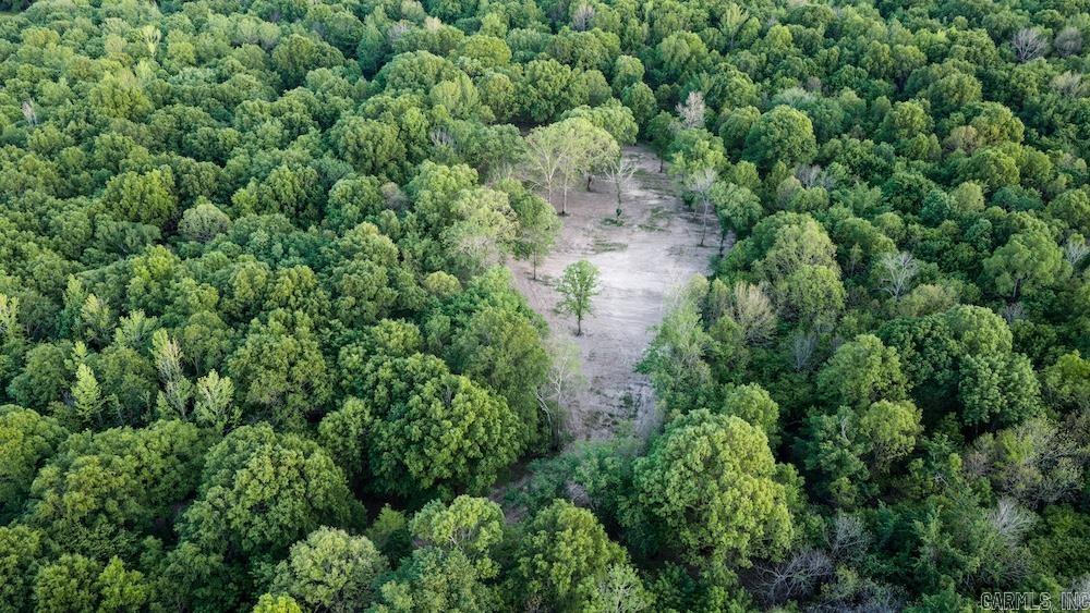 Cypress Lake Road Property Photo 6