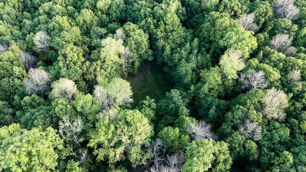 Cypress Lake Road Property Photo 8