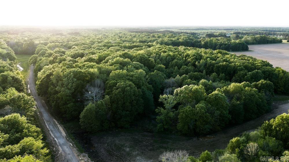 Cypress Lake Road Property Photo 9