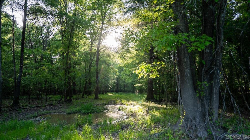 Cypress Lake Road Property Photo 11