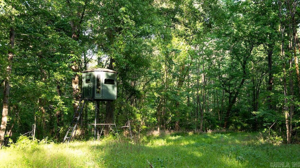 Cypress Lake Road Property Photo 13
