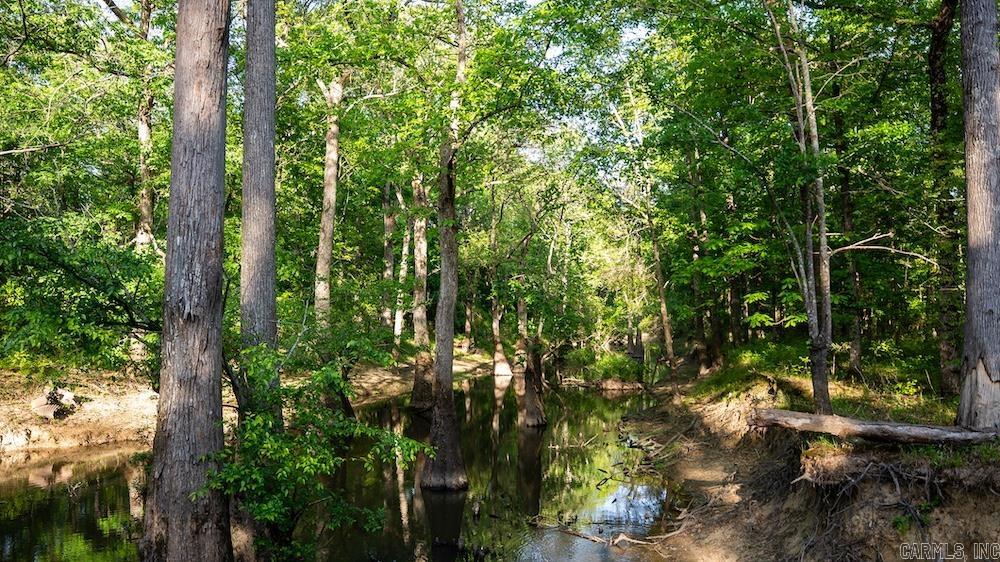 Cypress Lake Road Property Photo 14
