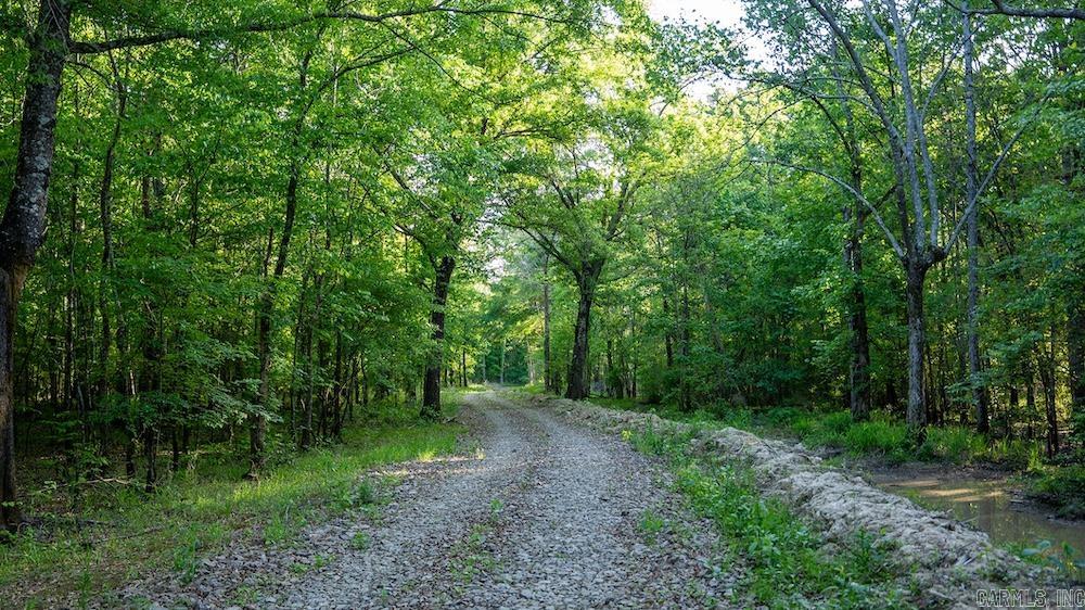 Cypress Lake Road Property Photo 15