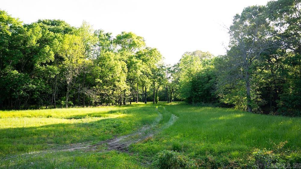Cypress Lake Road Property Photo 17