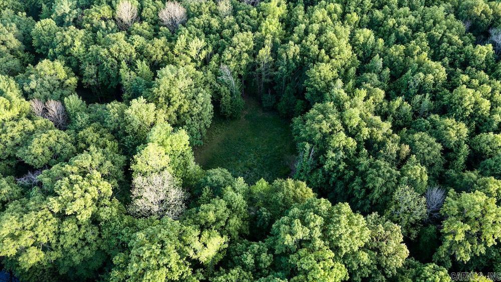 Cypress Lake Road Property Photo 18
