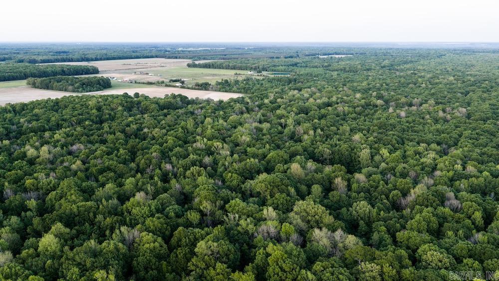 Cypress Lake Road Property Photo 22