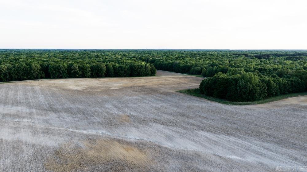 Cypress Lake Road Property Photo 35