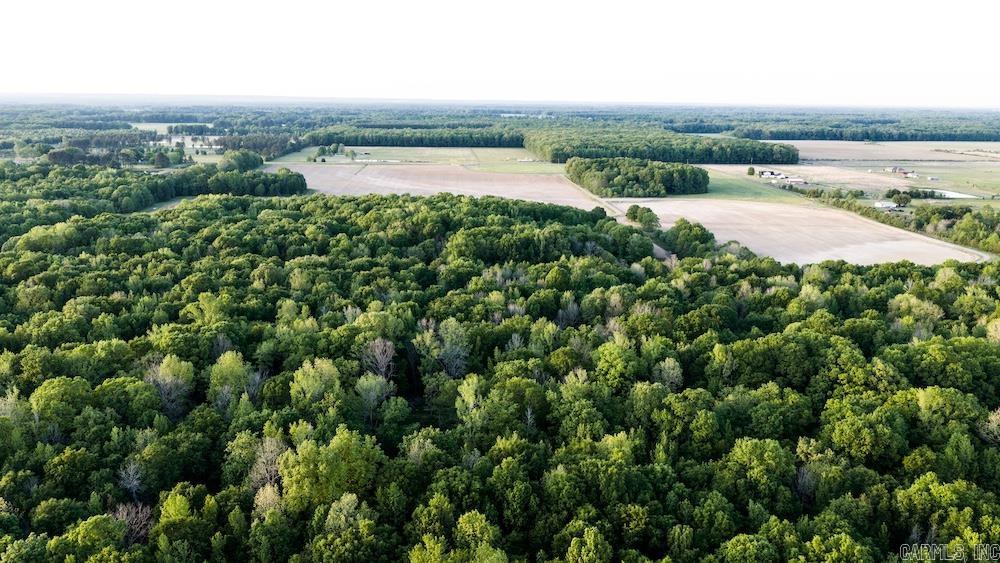 Cypress Lake Road Property Photo 45