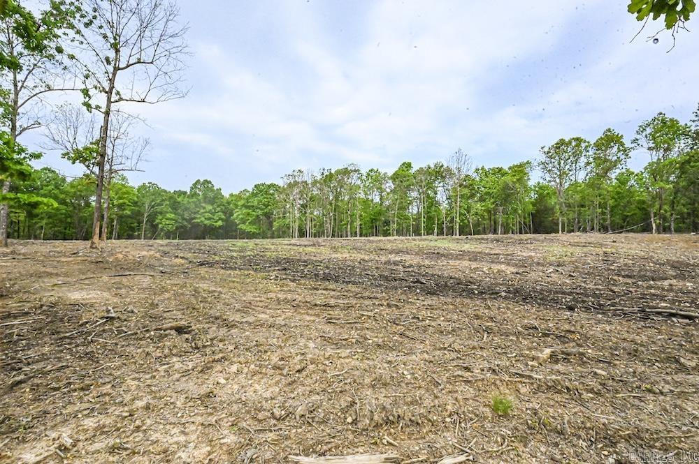 N/a Red Bud Rd Property Photo 7
