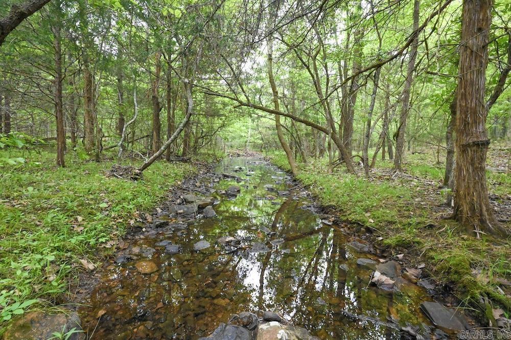N/a Red Bud Rd Property Photo 9