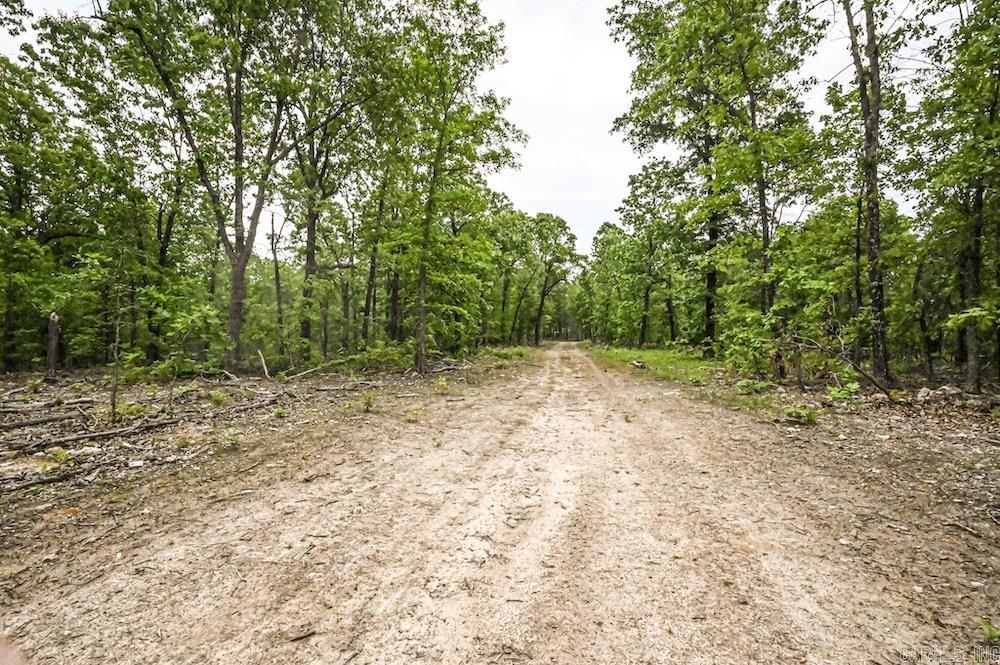 N/a Red Bud Rd Property Photo 11
