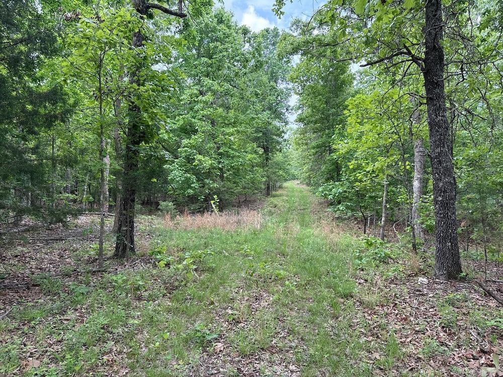 N/a Red Bud Rd Property Photo 13