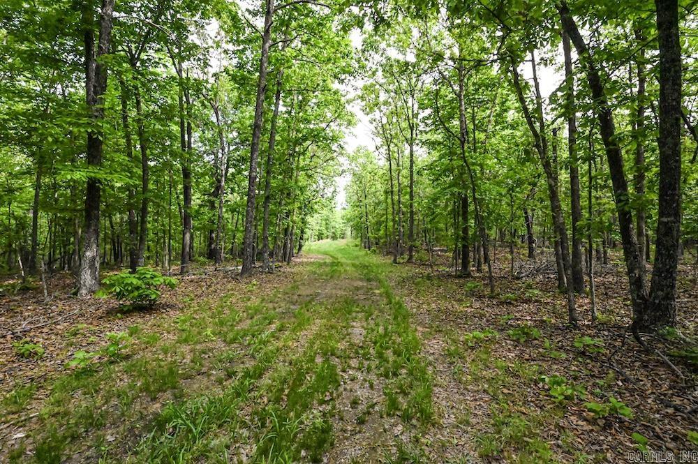 N/a Red Bud Rd Property Photo 15