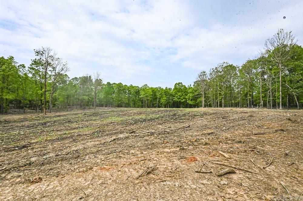 N/a Red Bud Rd Property Photo 16