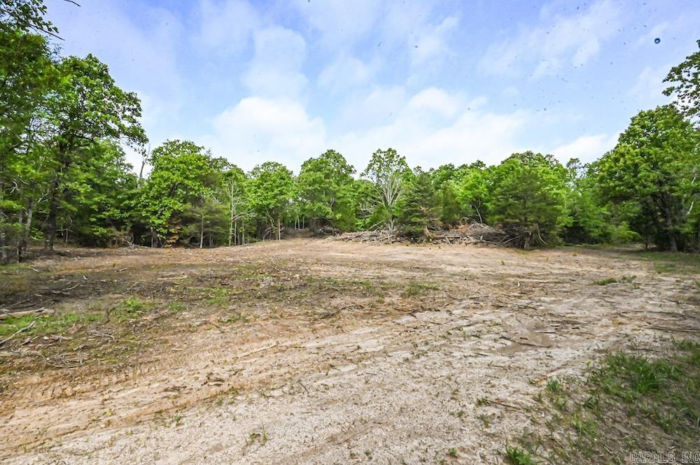N/a Red Bud Rd Property Photo 18