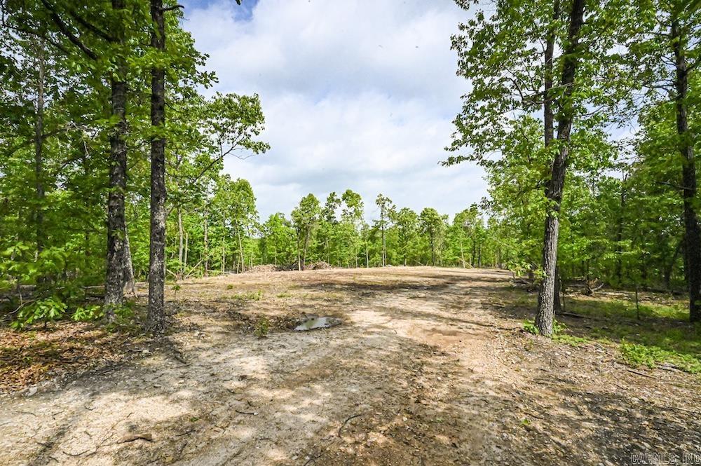 N/a Red Bud Rd Property Photo 19