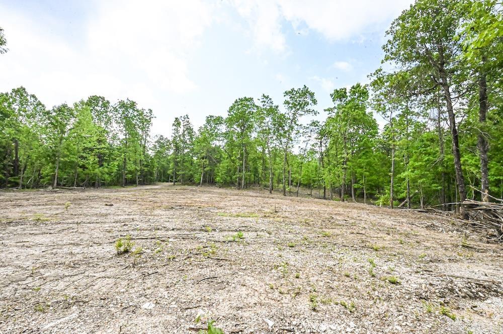 N/a Red Bud Rd Property Photo 21