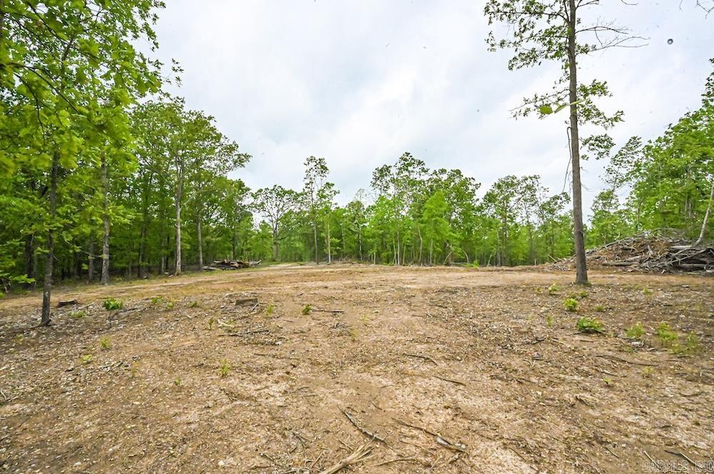 N/a Red Bud Rd Property Photo 22