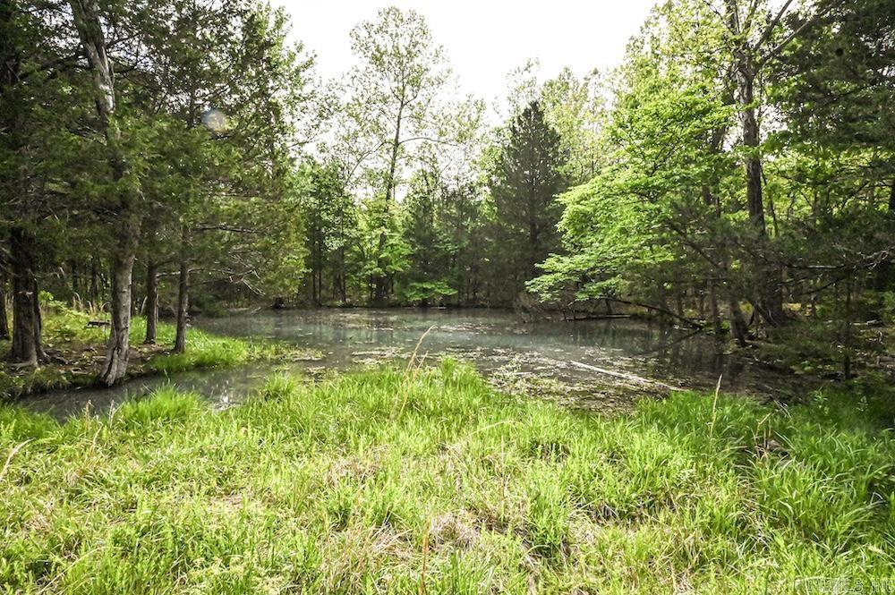 N/a Red Bud Rd Property Photo 25