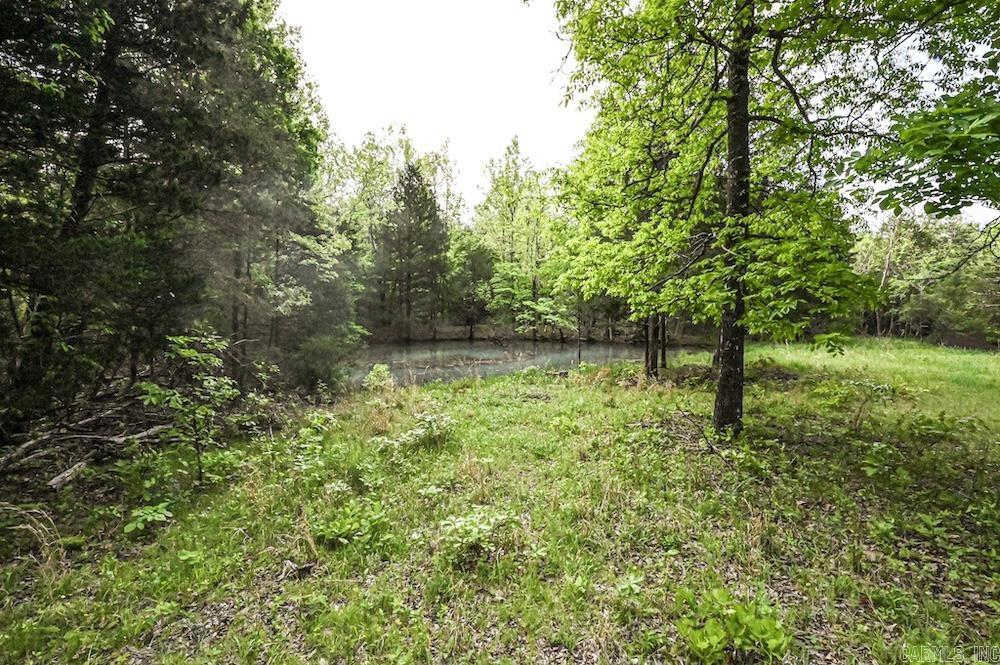 N/a Red Bud Rd Property Photo 26