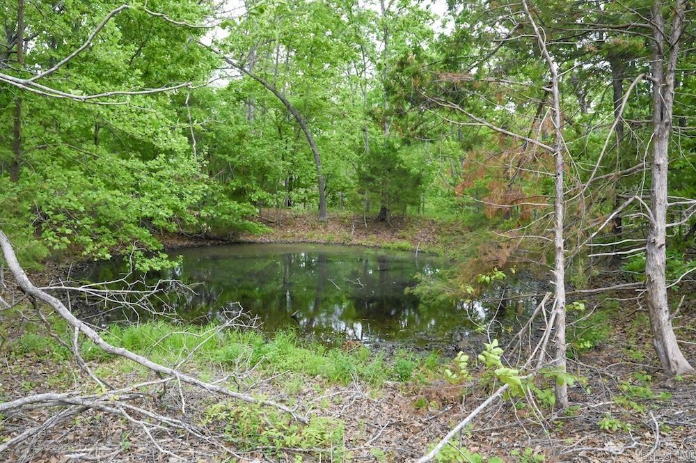 N/a Red Bud Rd Property Photo 27
