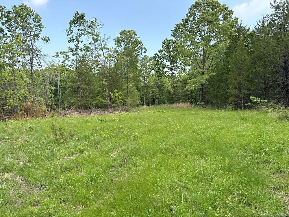 N/a Red Bud Rd Property Photo 29