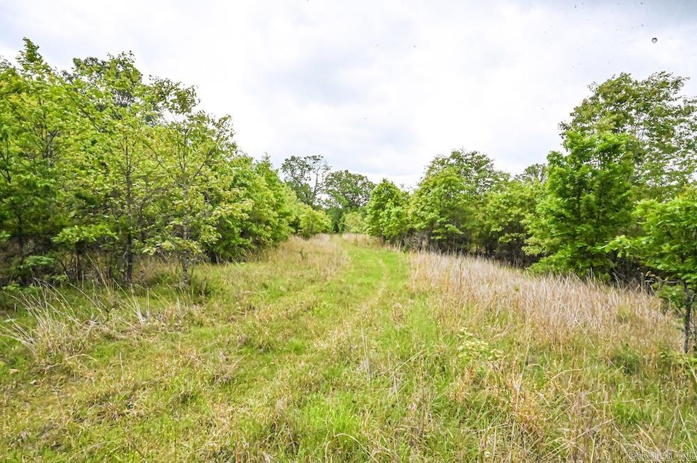 N/a Red Bud Rd Property Photo 31