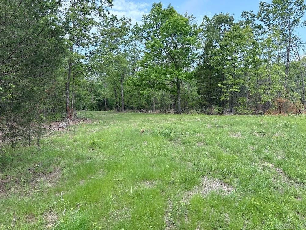 N/a Red Bud Rd Property Photo 32