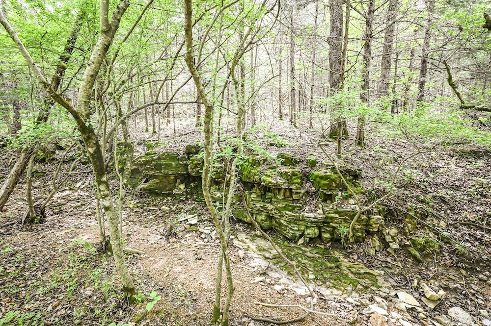 N/a Red Bud Rd Property Photo 43