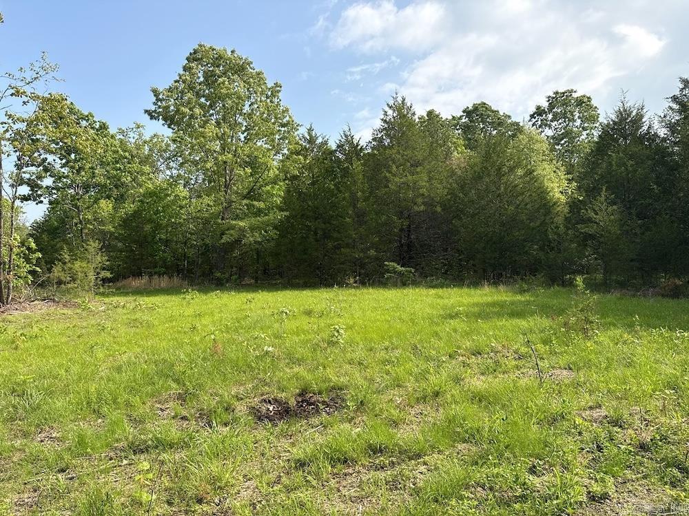 N/a Red Bud Rd Property Photo 44