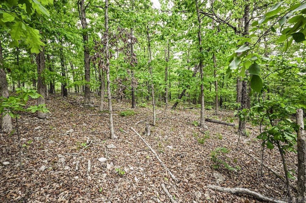 N/a Red Bud Rd Property Photo 50