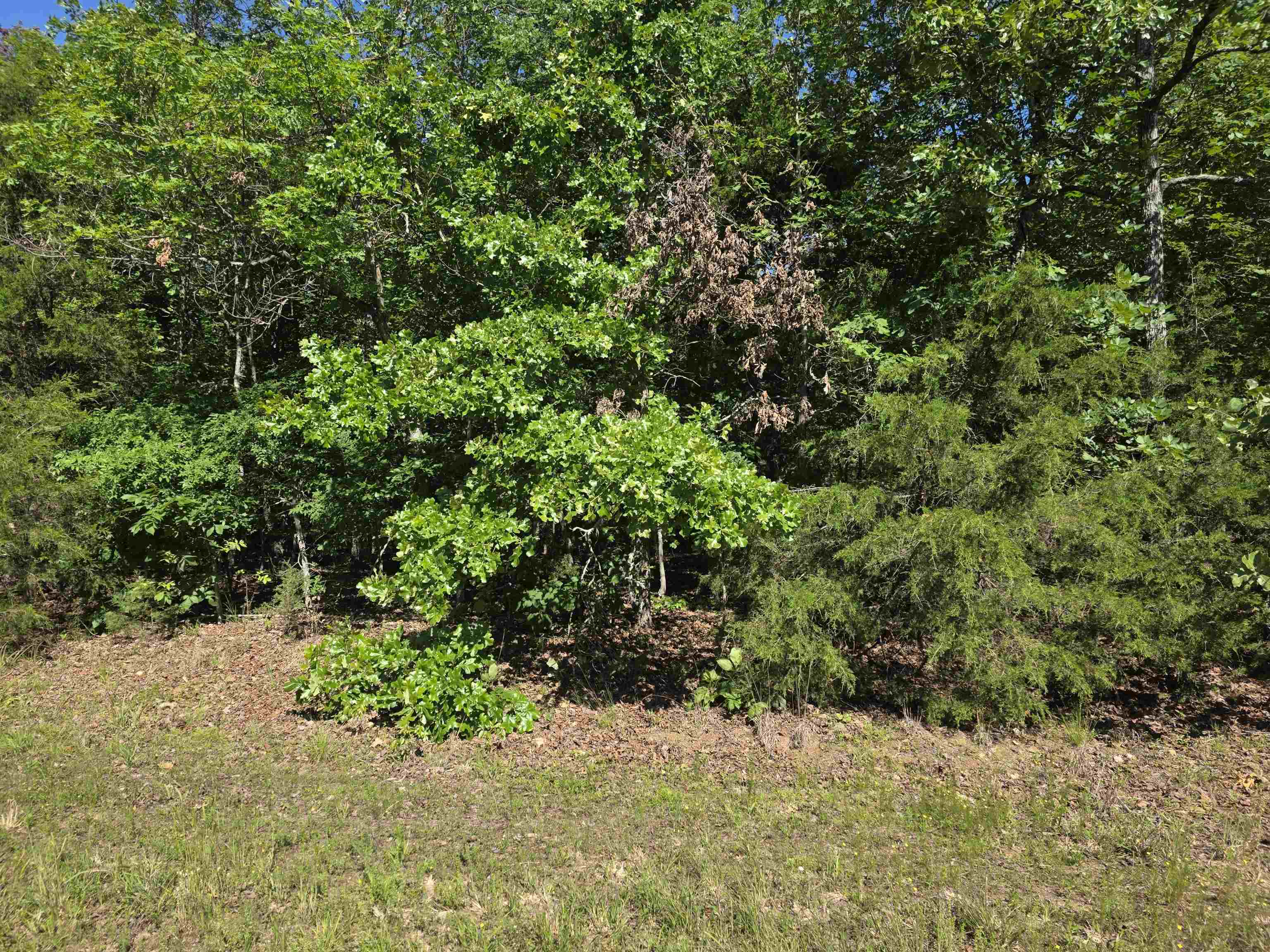 L-52 Barnes Road Property Photo 1