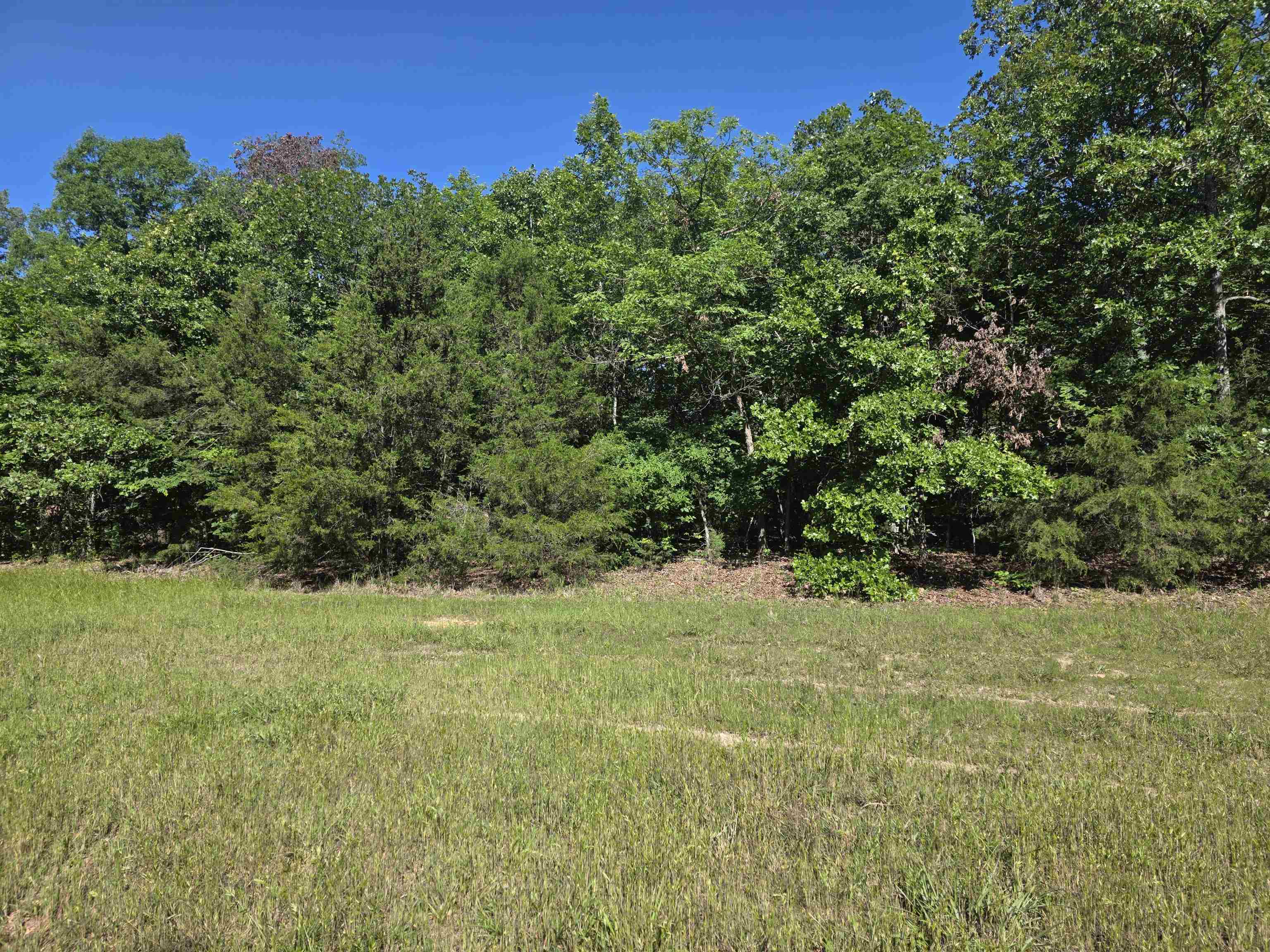 L-52 Barnes Road Property Photo 2