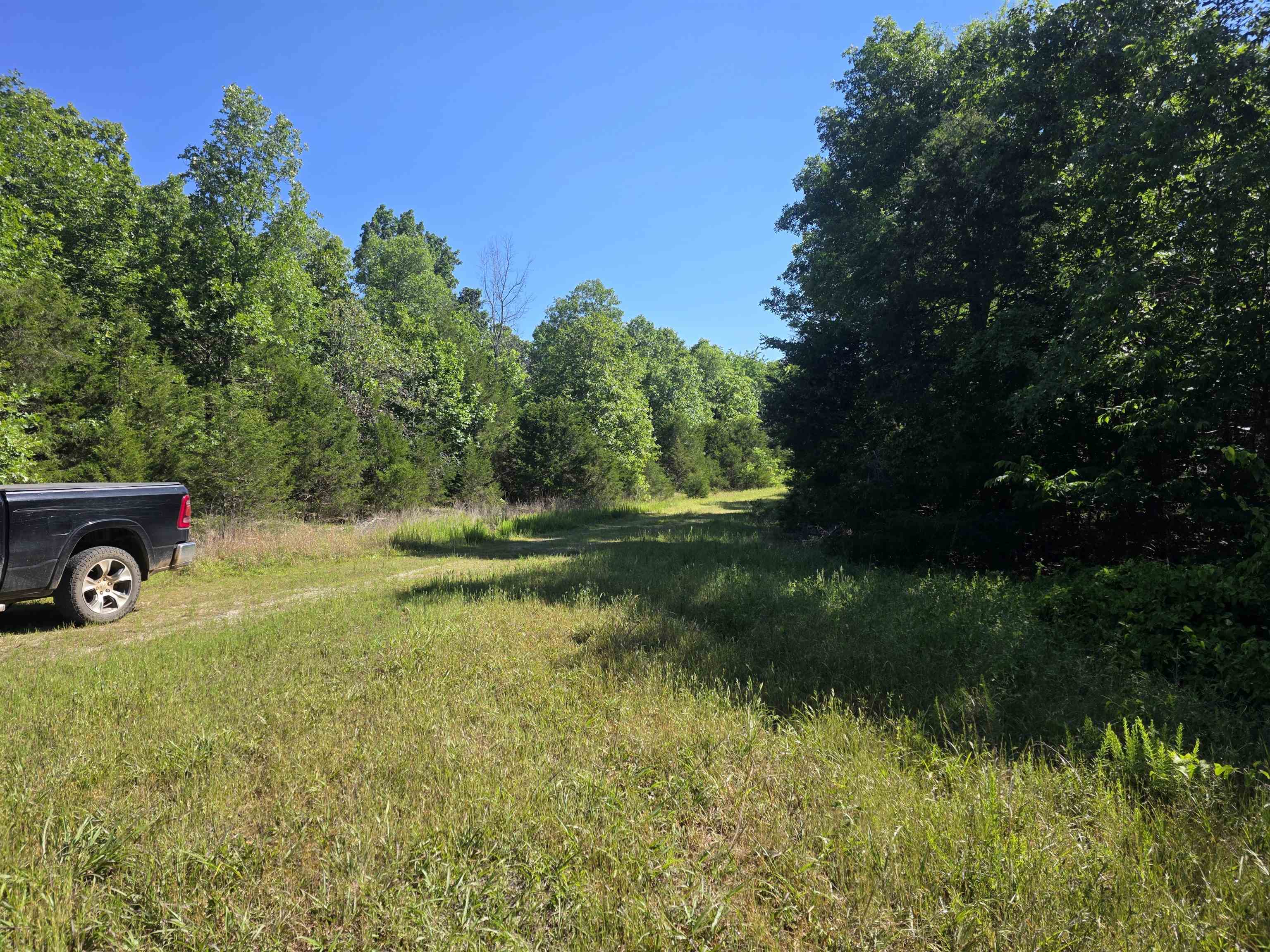 L-52 Barnes Road Property Photo 3