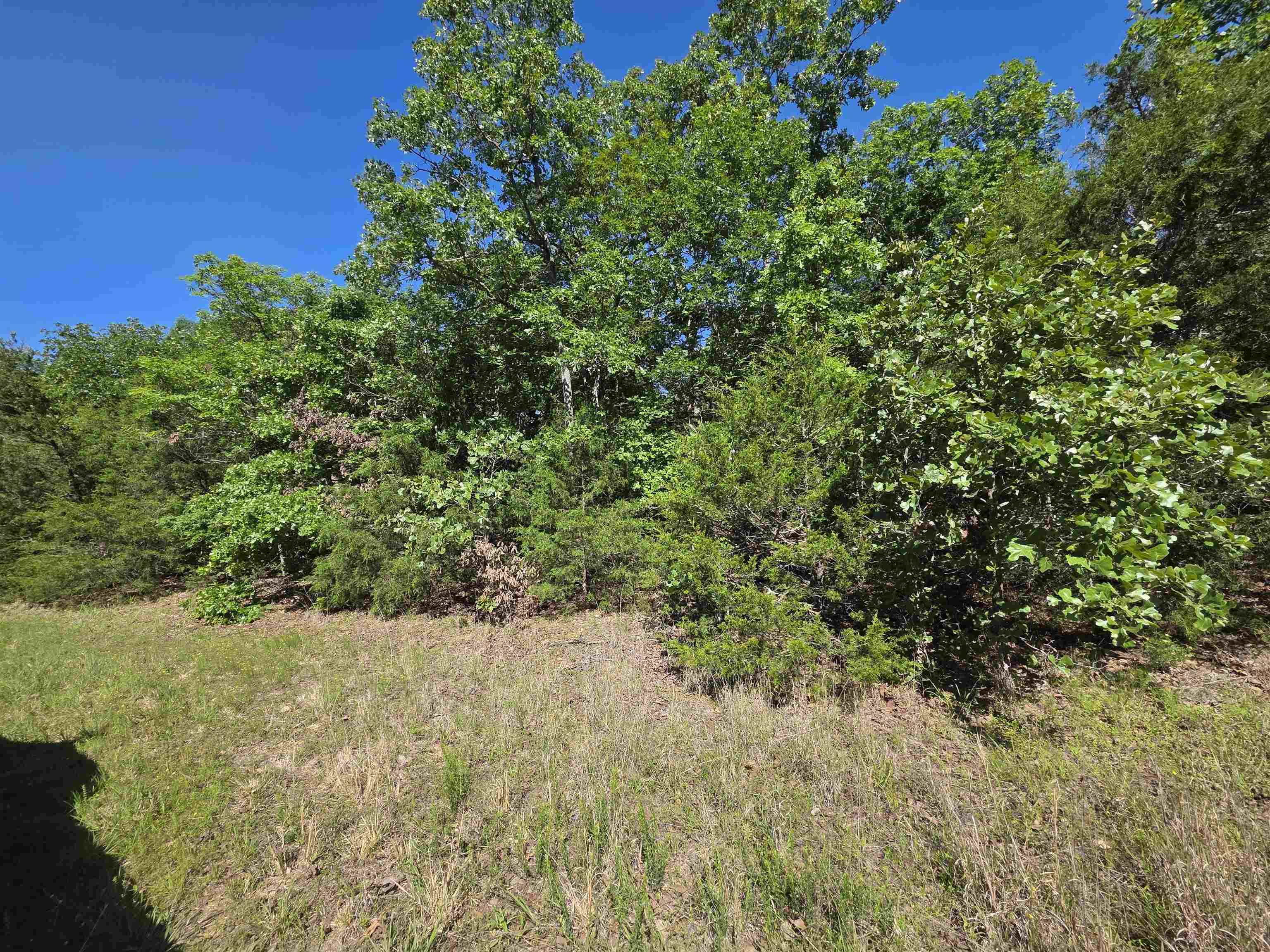 L-52 Barnes Road Property Photo 6
